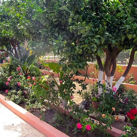 Apartment Artemis Superb 2 Bedroom 700 M Away From The Minia