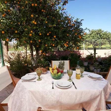 Apartment Artemis Superb 2 Bedroom 700 M Away From The Minia
