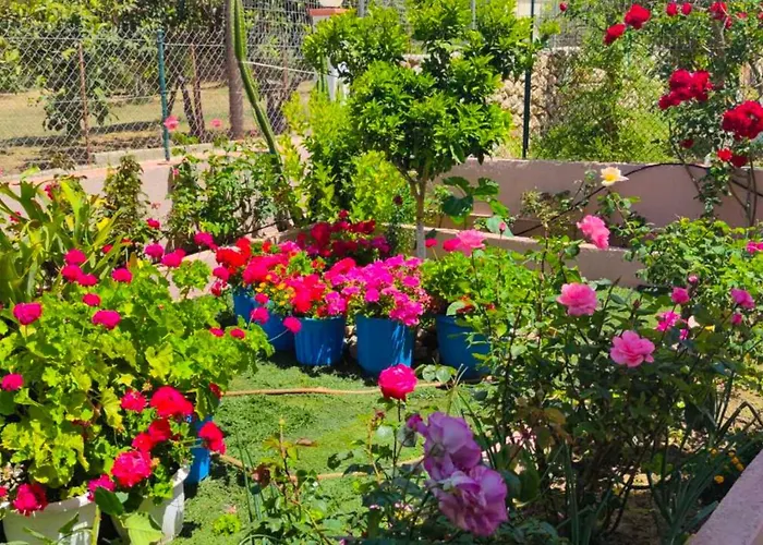 Appartamento Artemis Superb 2 Bedroom 700 M Away From The *